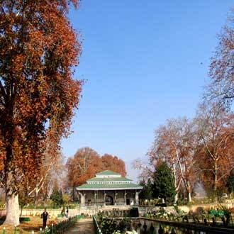 Lotus Retreat Houseboat, Srinagar 3